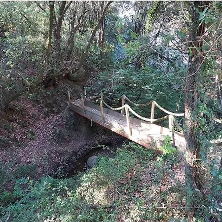 Maison Chaleureuse Acces Prive A La * Olmeto (Corsica)